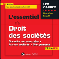 Sciencesjuridiques Essentiel Du Droit Des Soci T Dirzon